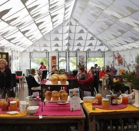 Casa Kiko Chio